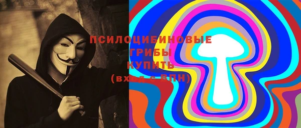 мет Дмитриев
