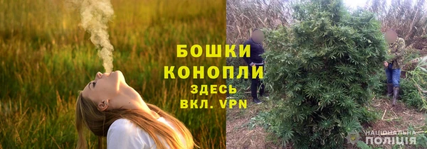 метадон Дмитровск