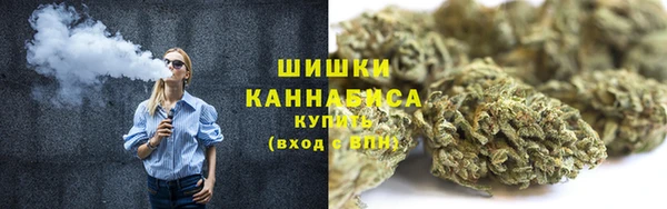 мет Дмитриев
