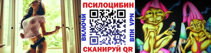 Псилоцибиновые грибы Cubensis  гидра вход  Зерноград 